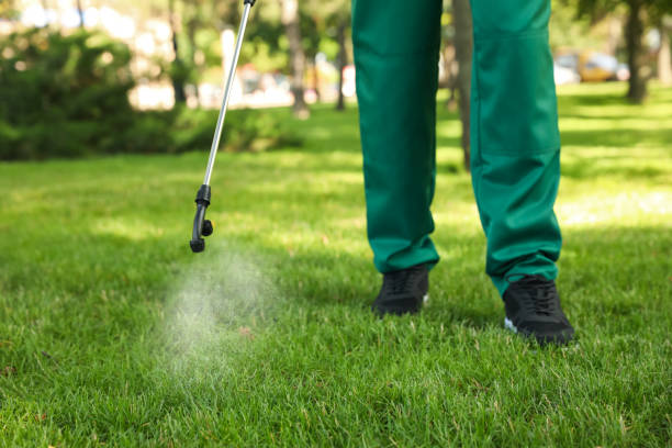 Best Cockroach Control Services  in Osceola, IA